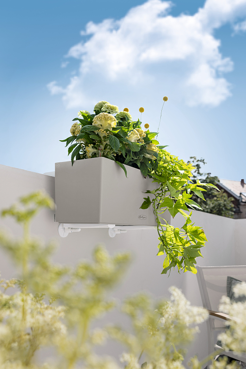 Άγκιστρα Τοίχου Lechuza Για Balconera Color-Cottage-Stone-Steel