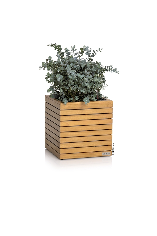 Αυτοποτιζόμενη Γλάστρα Ξύλινη Lechuza Palo Wood Low
