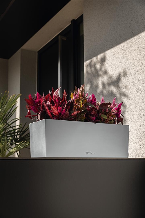 Αυτοποτιζόμενη Ζαρντινιέρα Lechuza Balconera Steel