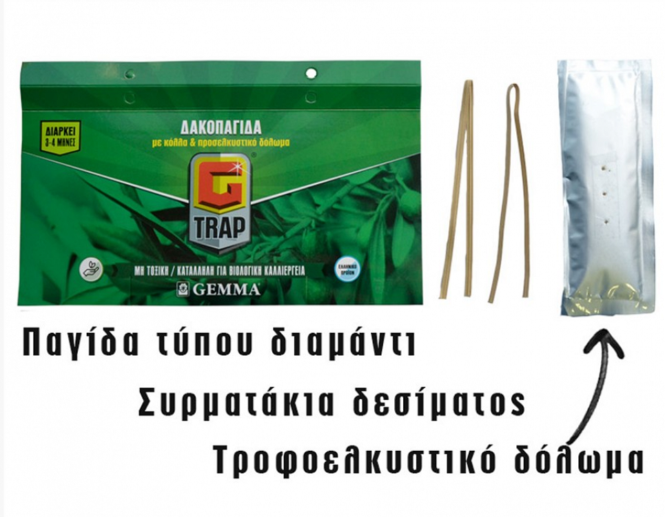 Δακοπαγίδα Τύπου Διαμάντι Gemma