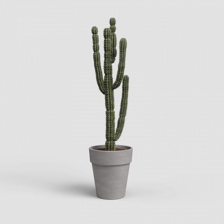 Πήλινη Γλάστρα Artevasi Amalia High Pot Vulcano 2