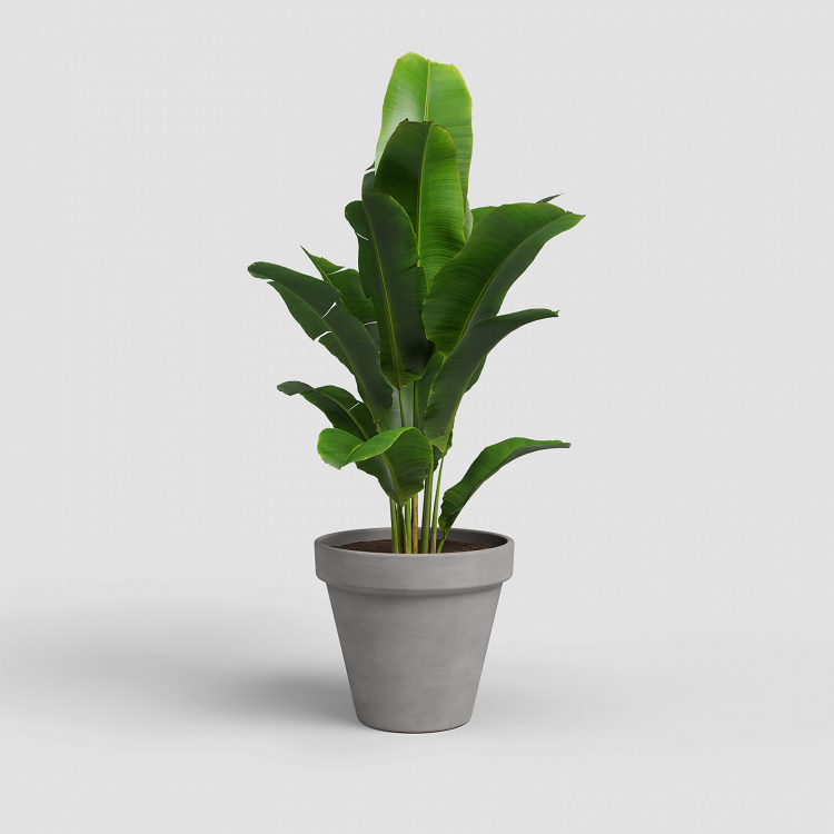 Πήλινη Γλάστρα Artevasi Amalia Pot Vulcano 2