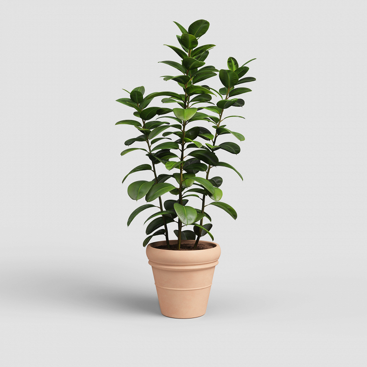 Πήλινη Γλάστρα Artevasi Mariza Pot Antique