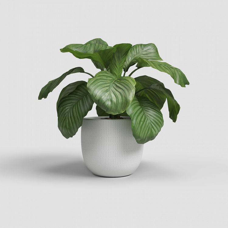 Πήλινο Κασπώ Artevasi Aura Pot