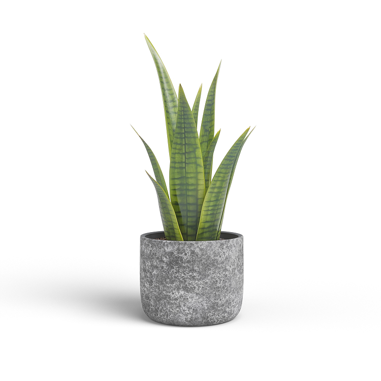 Πήλινο Κασπώ Artevasi Cassia Pot Anthracite