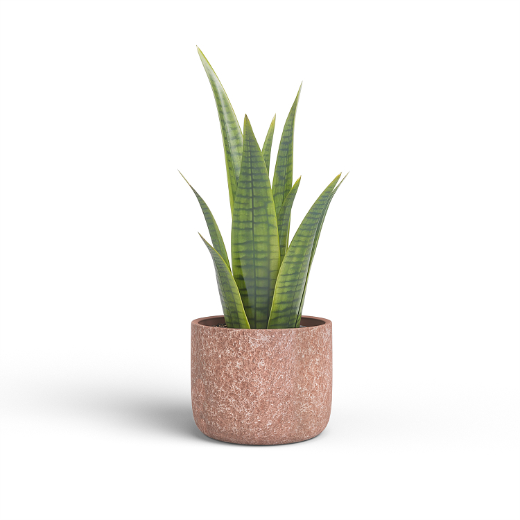 Πήλινο Κασπώ Artevasi Cassia Pot Mocha Brown