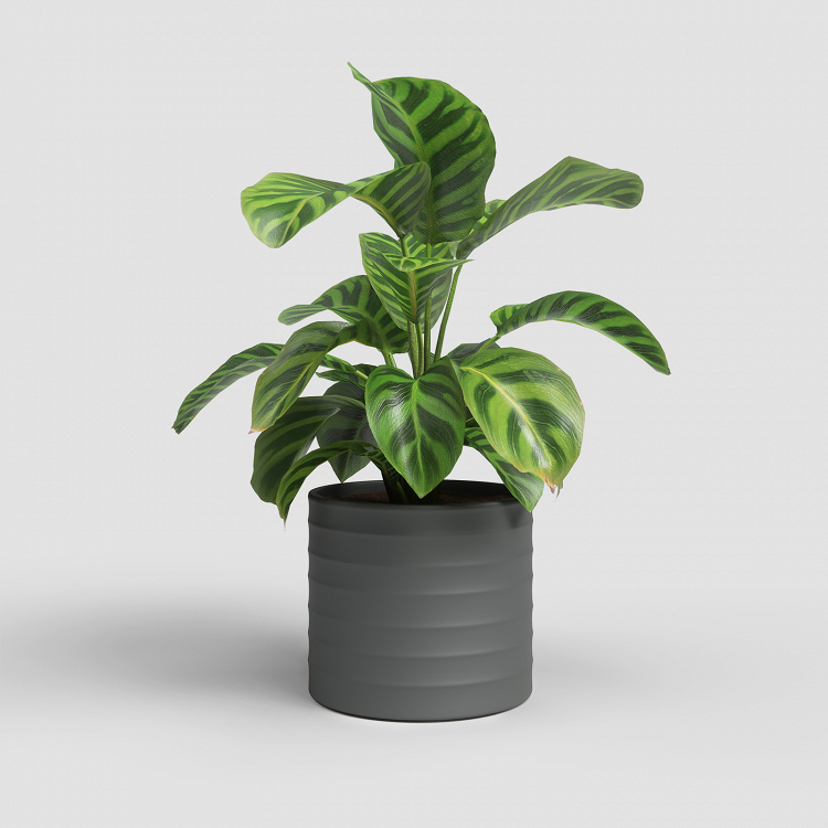 Πήλινο Κασπώ Artevasi Chloe Horizontal Pot