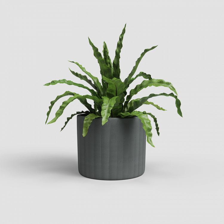Πήλινο Κασπώ Artevasi Chloe Vertical Pot