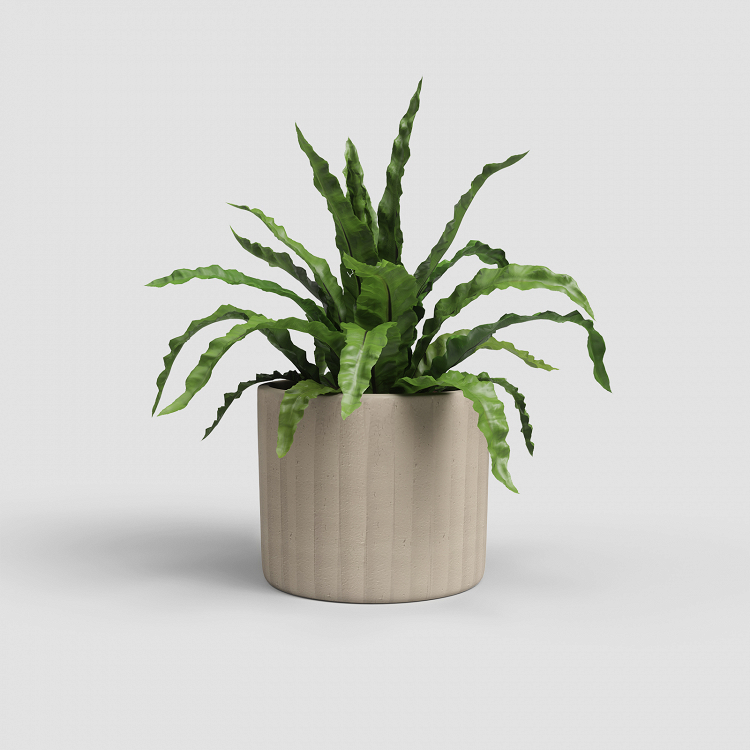 Πήλινο Κασπώ Artevasi Chloe Vertical Pot