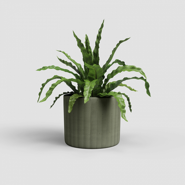 Πήλινο Κασπώ Artevasi Chloe Vertical Pot