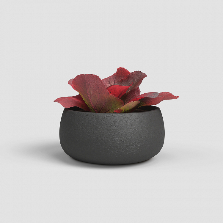Πήλινο Κασπώ Artevasi Hemera Bowl
