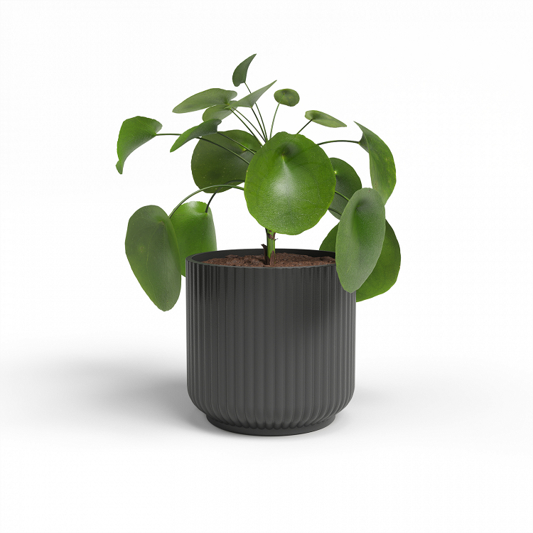Πήλινο Κασπώ Artevasi Luna Pot