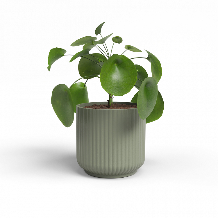 Πήλινο Κασπώ Artevasi Luna Pot