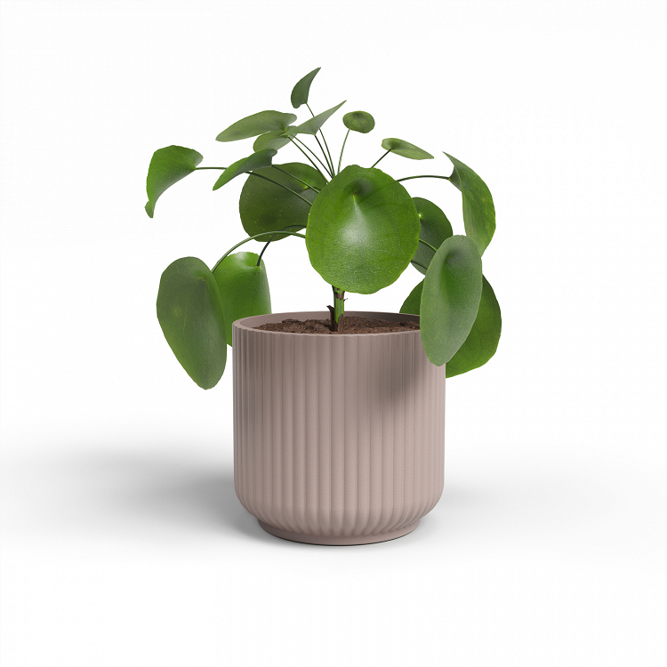 Πήλινο Κασπώ Artevasi Luna Pot