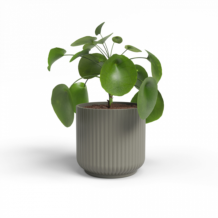 Πήλινο Κασπώ Artevasi Luna Pot