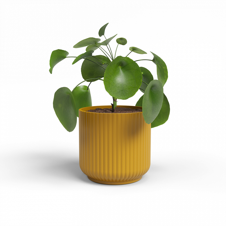 Πήλινο Κασπώ Artevasi Luna Pot