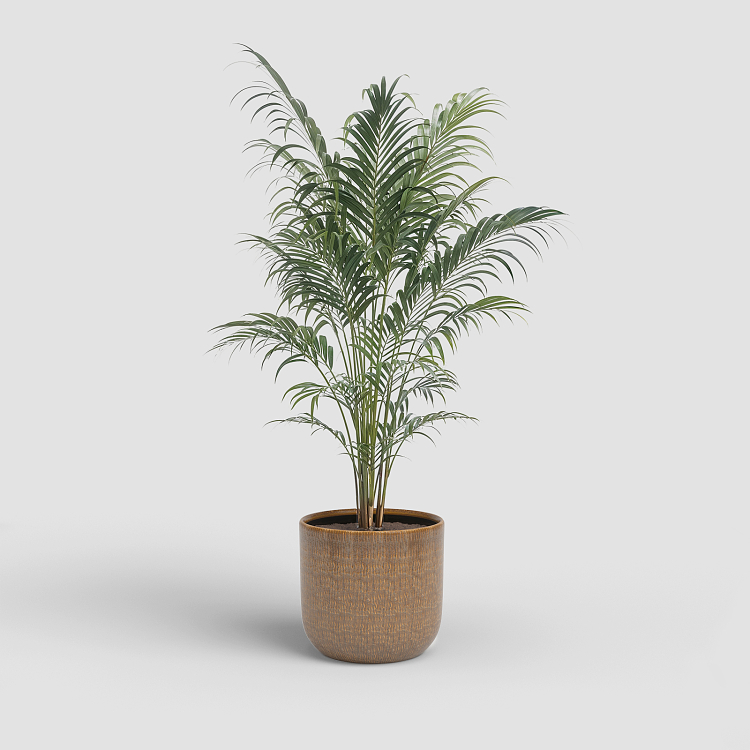 Πήλινο Κασπώ Artevasi Melissa Pot