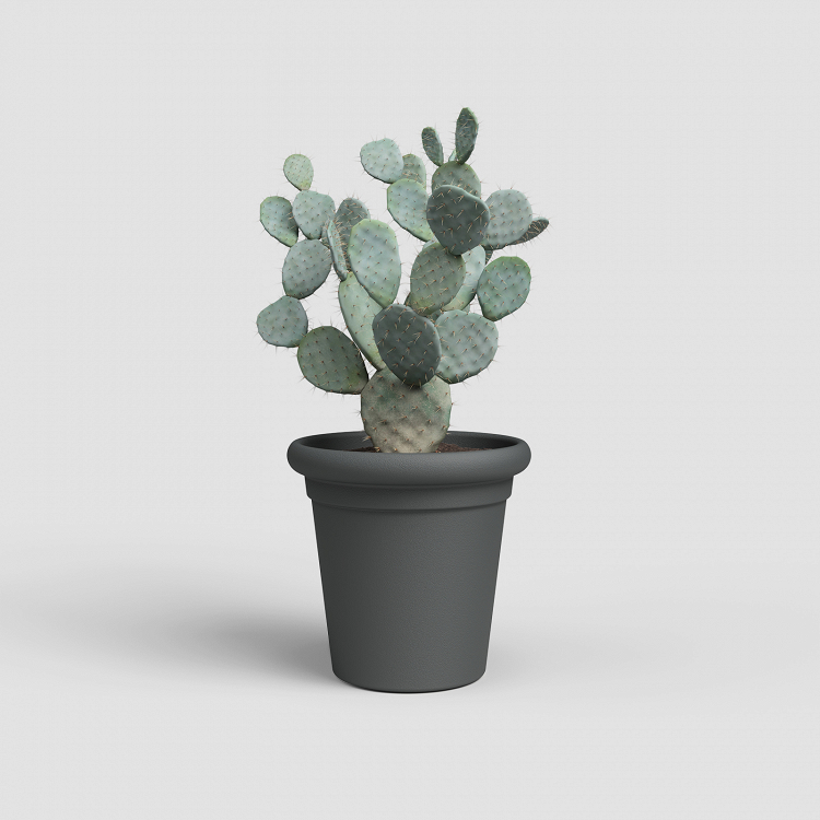 Πλαστική Γλάστρα Artevasi Toscana Pot