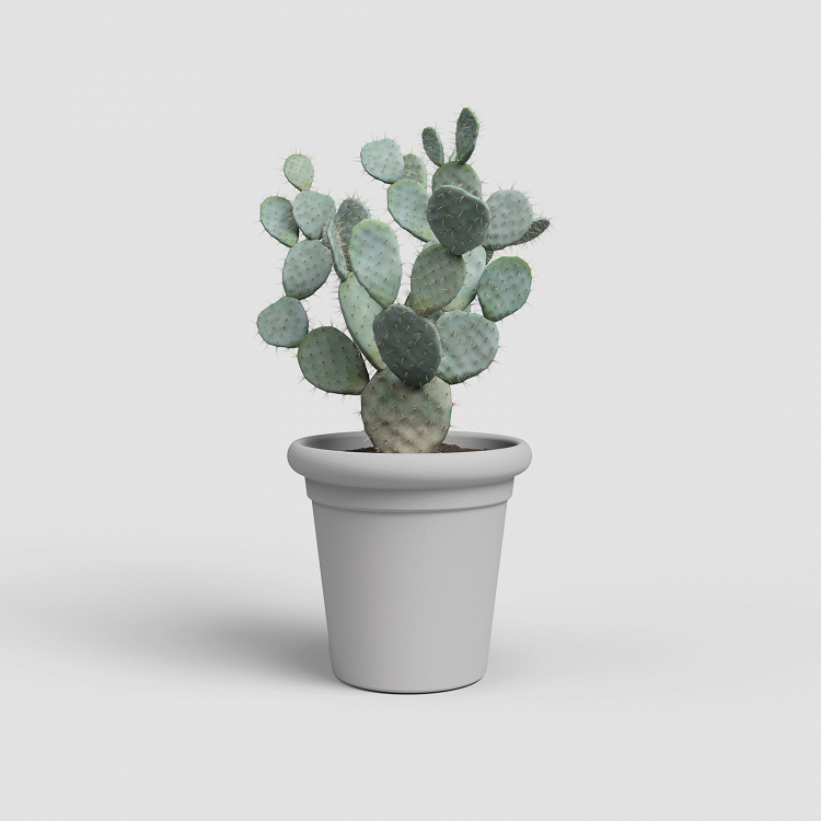 Πλαστική Γλάστρα Artevasi Toscana Pot