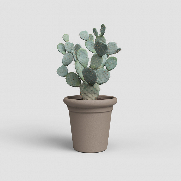 Πλαστική Γλάστρα Artevasi Toscana Pot
