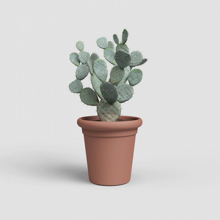 Πλαστική Γλάστρα Artevasi Toscana Pot