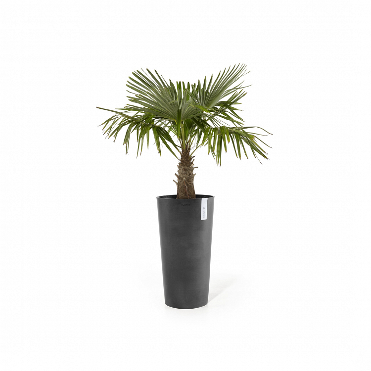 Πλαστική Γλάστρα Ecopots Amsterdam High
