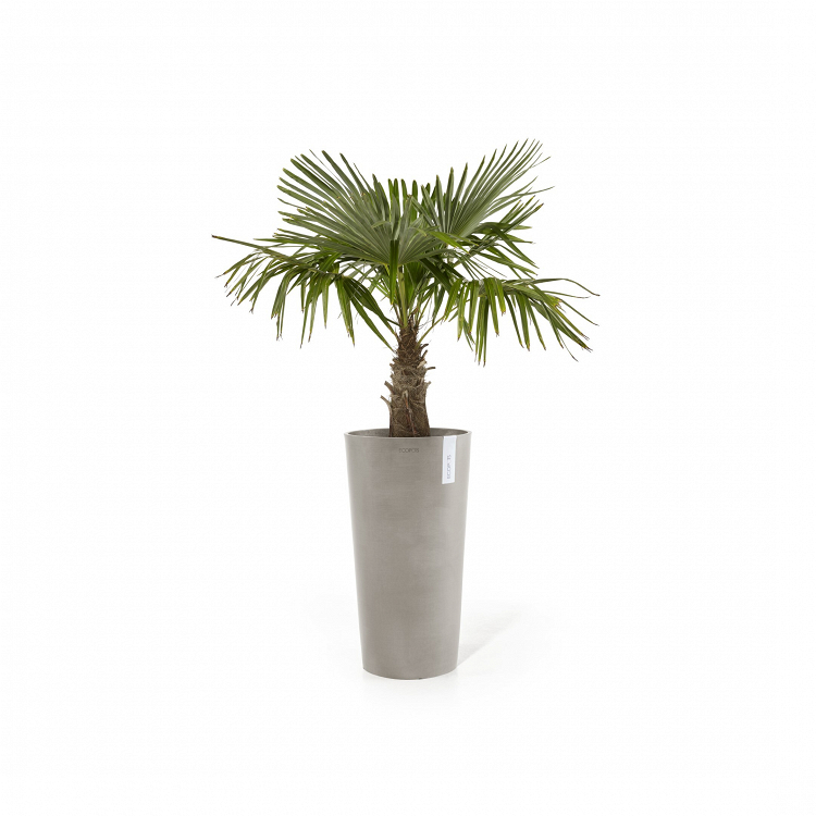 Πλαστική Γλάστρα Ecopots Amsterdam High