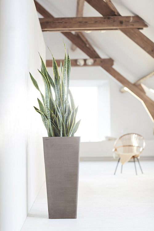 Πλαστική Γλάστρα Ecopots Rotterdam High