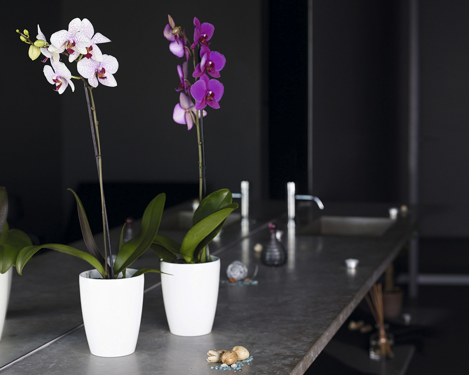 Πλαστική Γλάστρα-Κασπώ Για Ορχιδέες Artevasi Fiji Orchid Pot