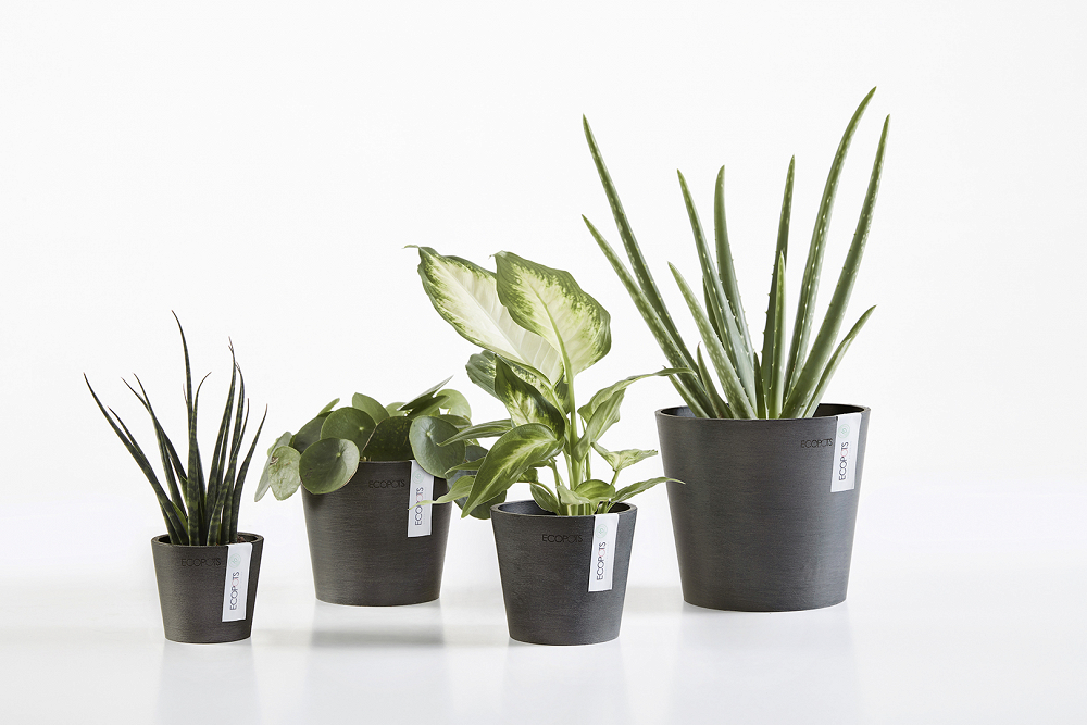 Πλαστική Γλάστρα-Κασπώ Ecopots Amsterdam Mini