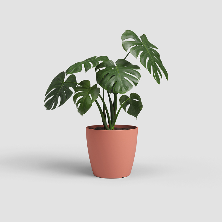 Πλαστικό Κασπώ Artevasi San Remo Pot Dry Pink