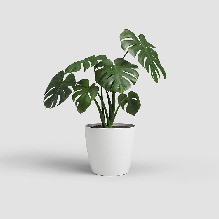 Πλαστικό Κασπώ Artevasi San Remo Pot White