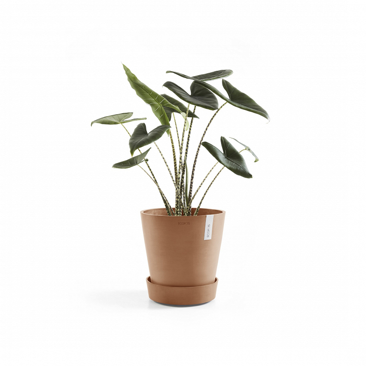 Πλαστικό Πιάτο Με Ρόδες Ecopots