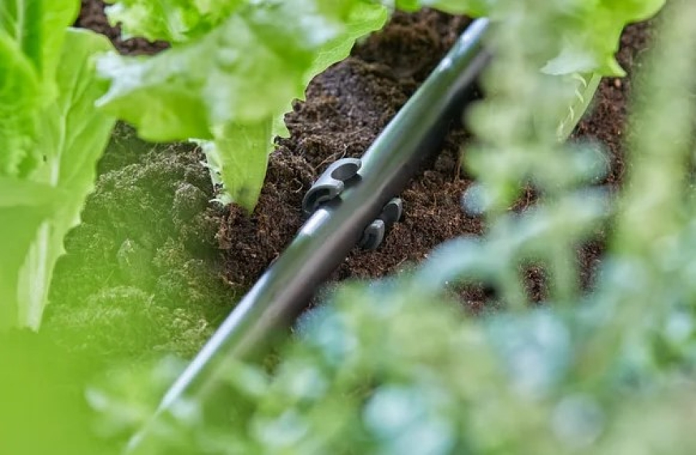 Γάντζος Εδάφους Gardena Micro-Drip 13 mm 13208