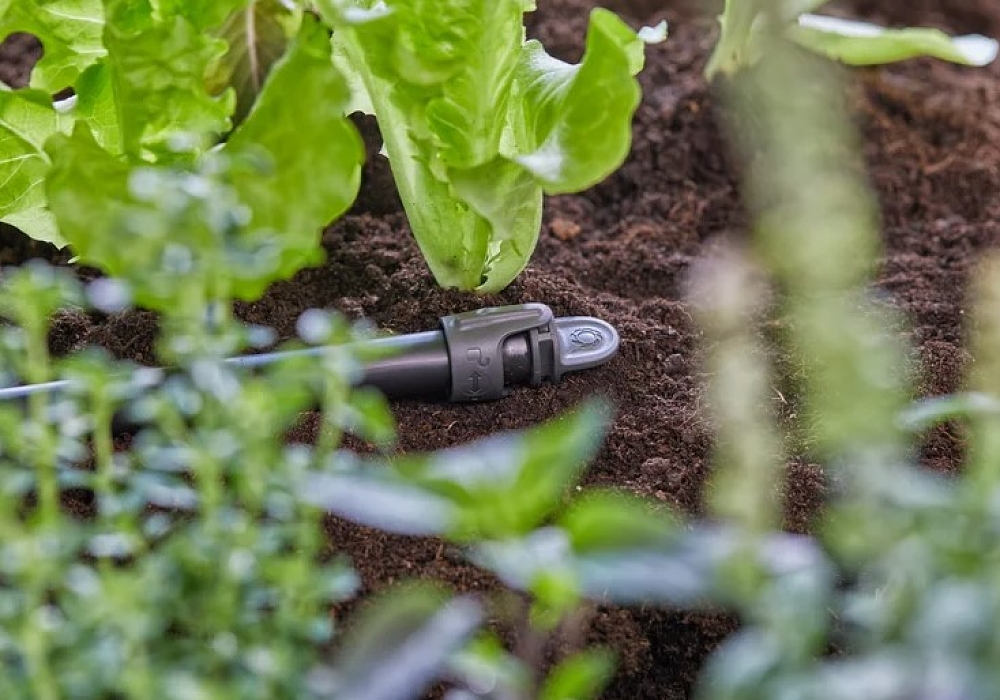 Τάπα Micro-Drip Gardena 13 mm 13205