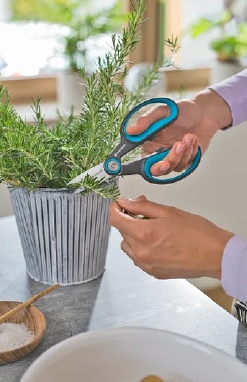 Ψαλίδι Κλαδέματος Για Βότανα Και Μπονσάι Gardena 12214