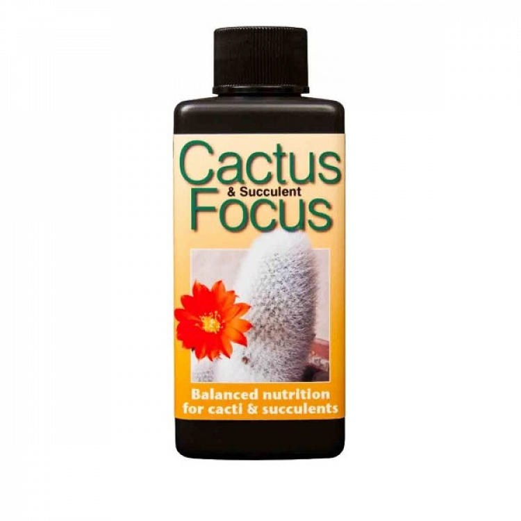 Υγρό Λίπασμα Για Κάκτους Cactus Focus 100 ml