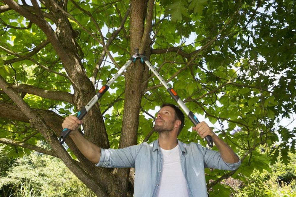 Ψαλίδα Κλαδέματος Τηλεσκοπική Gardena Telecut 650-900 B 12009