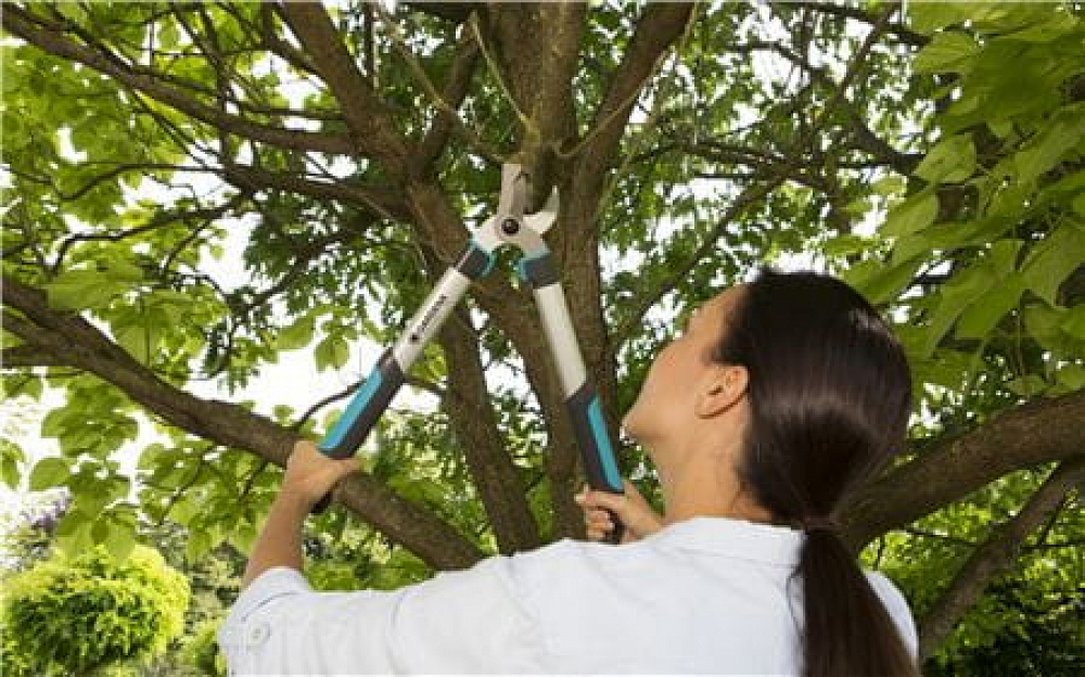 Ψαλίδα Κλαδέματος Gardena Easycut 500 B 12002