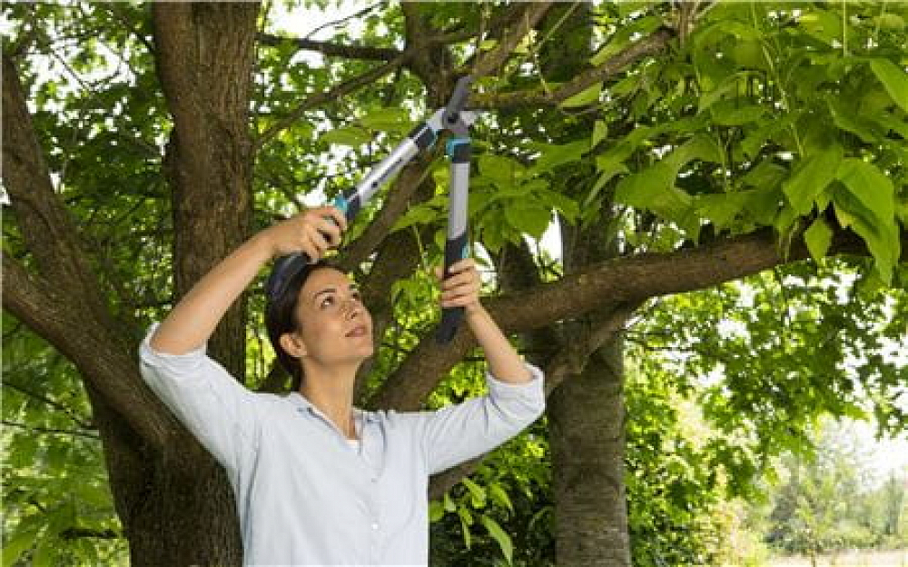 Ψαλίδα Κλαδέματος Gardena Easycut 500 B 12002