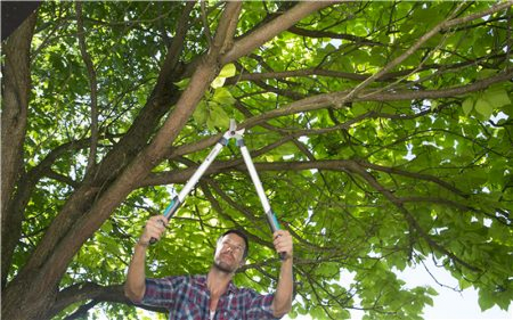 Ψαλίδα Κλαδέματος Gardena Easycut 680 B 12003