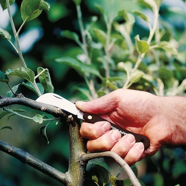 Σουγιάς Κήπου Κυρτός Fiskars K62