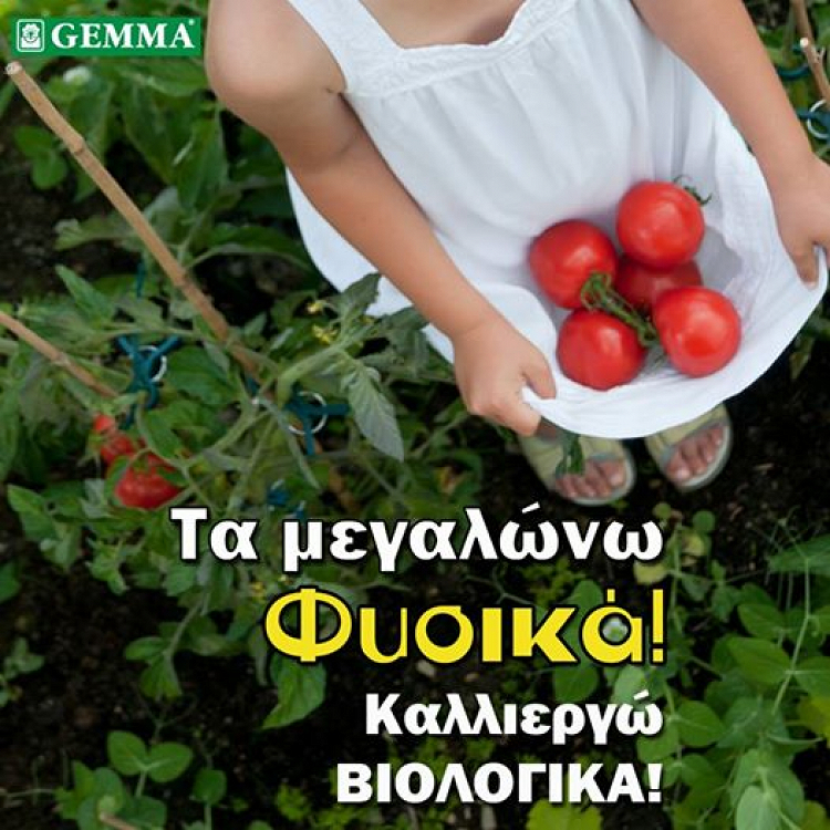Ακτιβοζίνη Για Ανθοφόρα Και Καρποφόρα Φυτά Gemma 2 kg