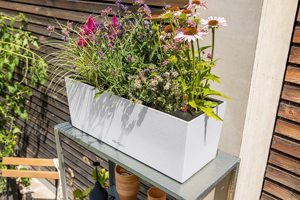 Αυτοποτιζόμενη Ζαρντινιέρα Lechuza Balconera Stone
