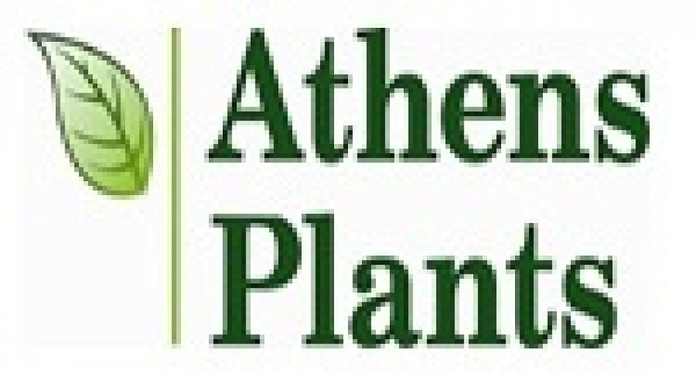 Athens Plants
