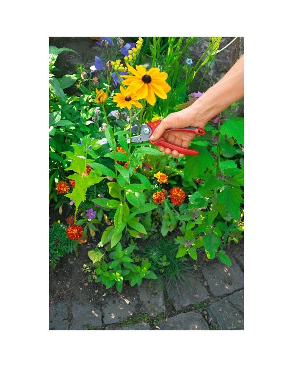 Κλαδευτήρι Wolf Garten RS 2500