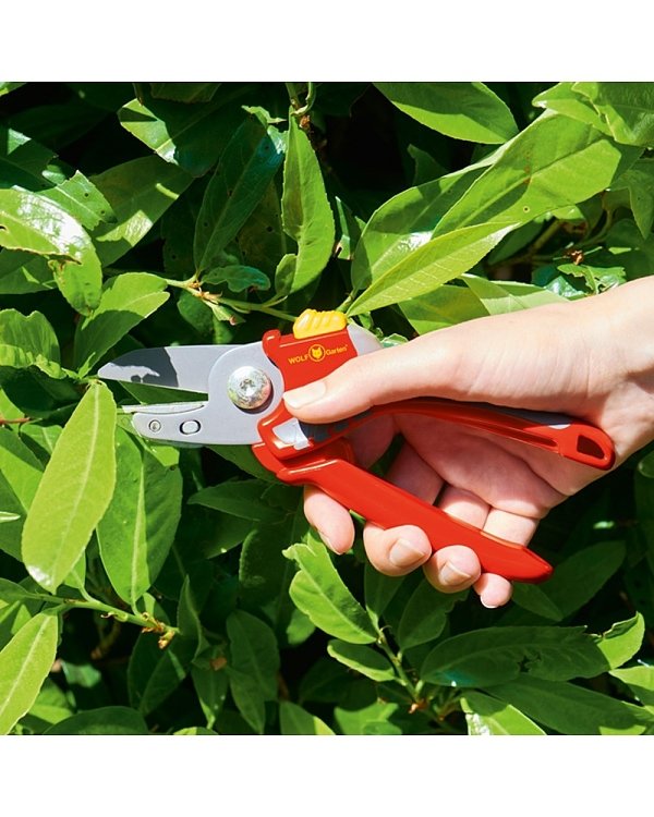 Κλαδευτήρι Wolf Garten RS 2500