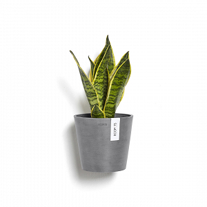 Πλαστική Γλάστρα Επιτοίχια Ecopots Amsterdam Wall