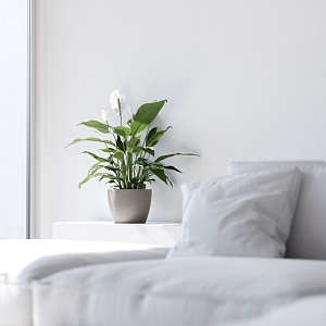 Πλαστική Γλάστρα Ecopots Stockholm Large