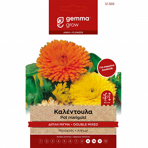 Σπόρος Καλέντουλα Διπλή